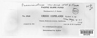 Uredo copelandi image
